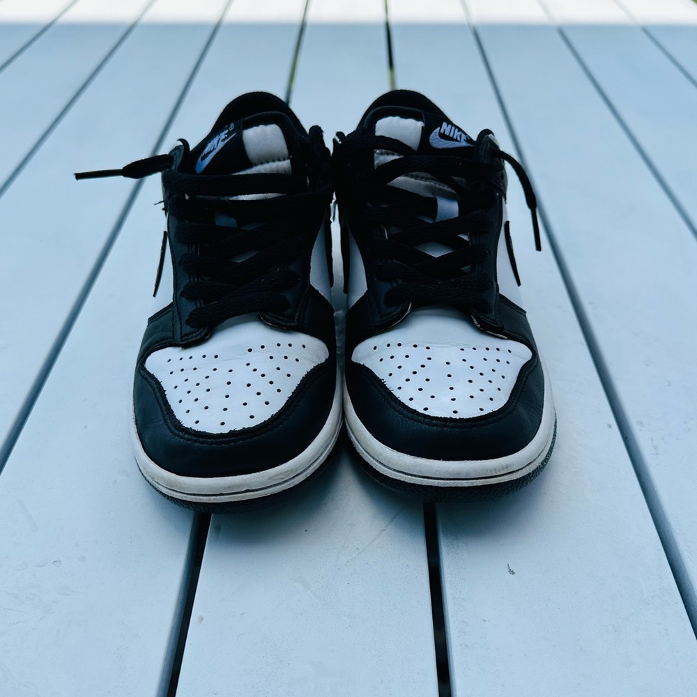 Nike Dunks